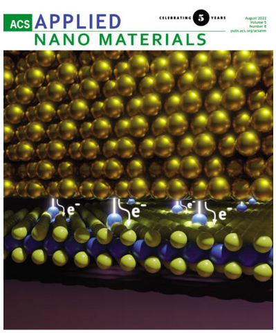 Front Cover Of ACS Applied Nano Materials – Aida Todri-Sanial